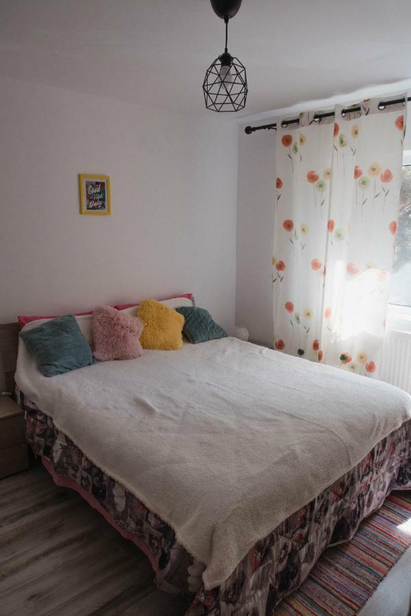 Good Vibes Apartment Câmpulung Moldovenesc المظهر الخارجي الصورة